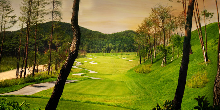 buyeo country club 2