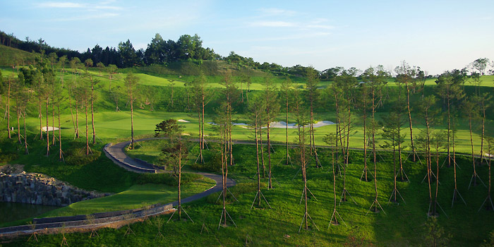 buyeo country club 3