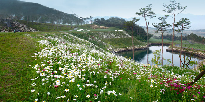 jeju country club 2