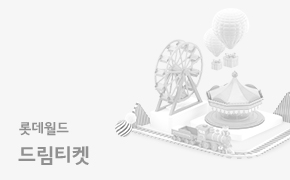 롯데월드 드림티켓