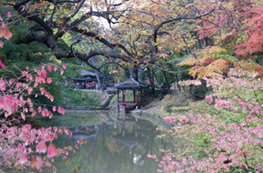 걷기 좋은 봄 여행지