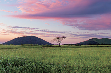 제주도 오름 BEST 3